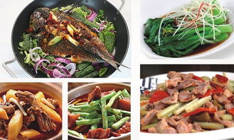 深圳市巴蜀風(fēng)飲食管理圖冊(cè) 餐飲管理的藝術(shù)與科學(xué)